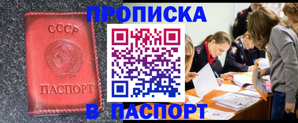 прописка для школы в Шахунье